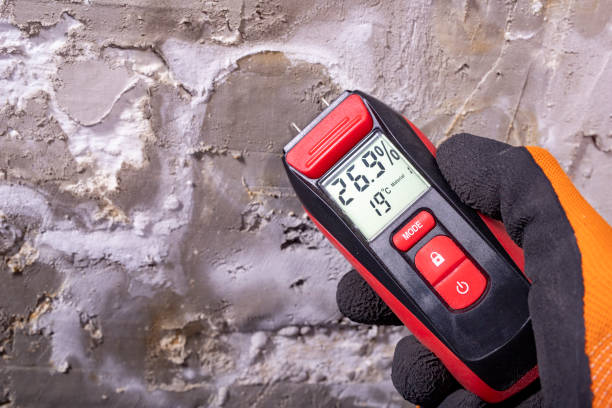 Best Office Mold Removal Services  in Agler Beach, FL