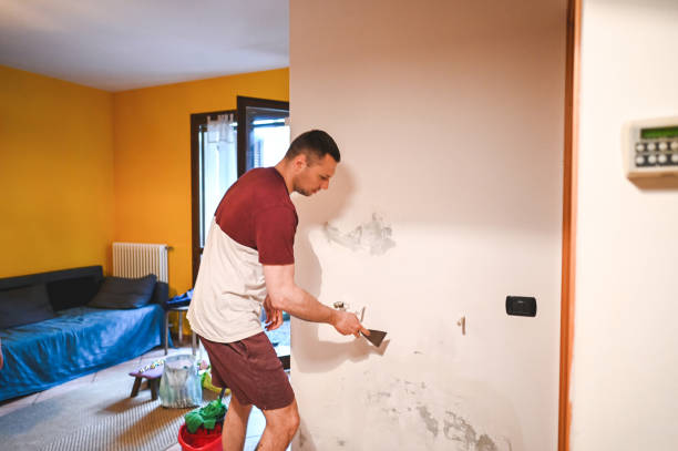 Best Mold Remediation  in Agler Beach, FL